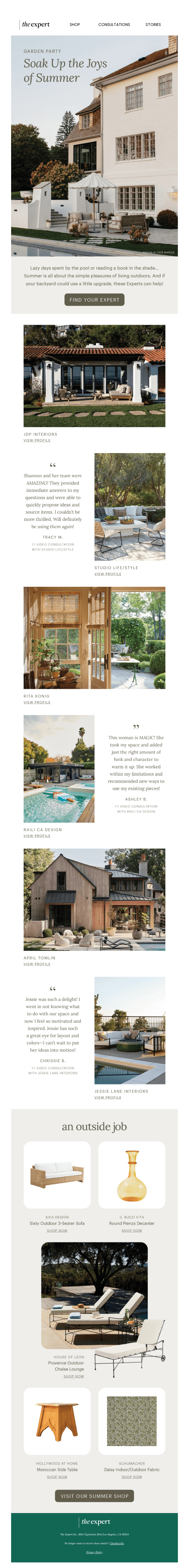 The expert email template