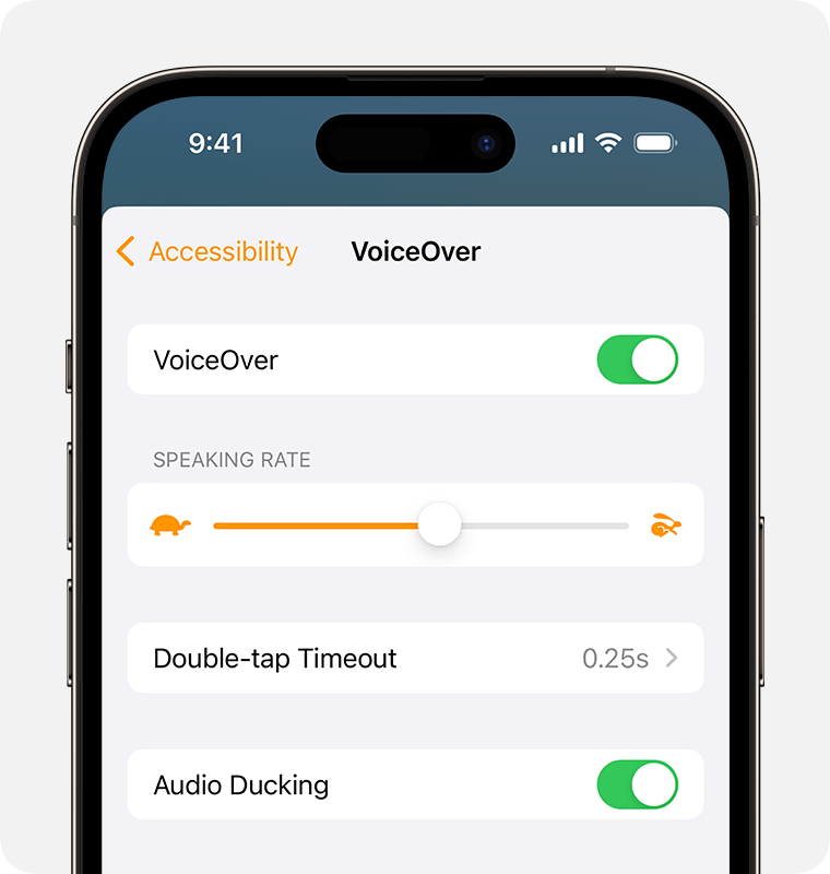 Apple's VoiceOver

