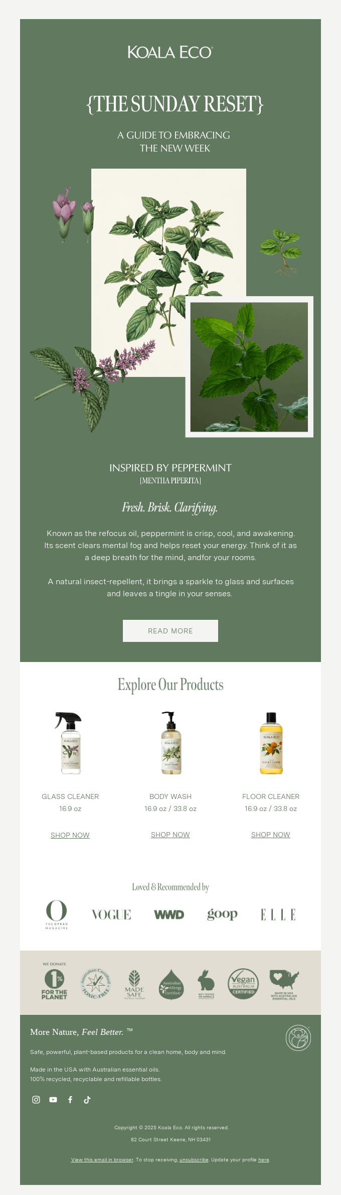 Email template by Koala Eco