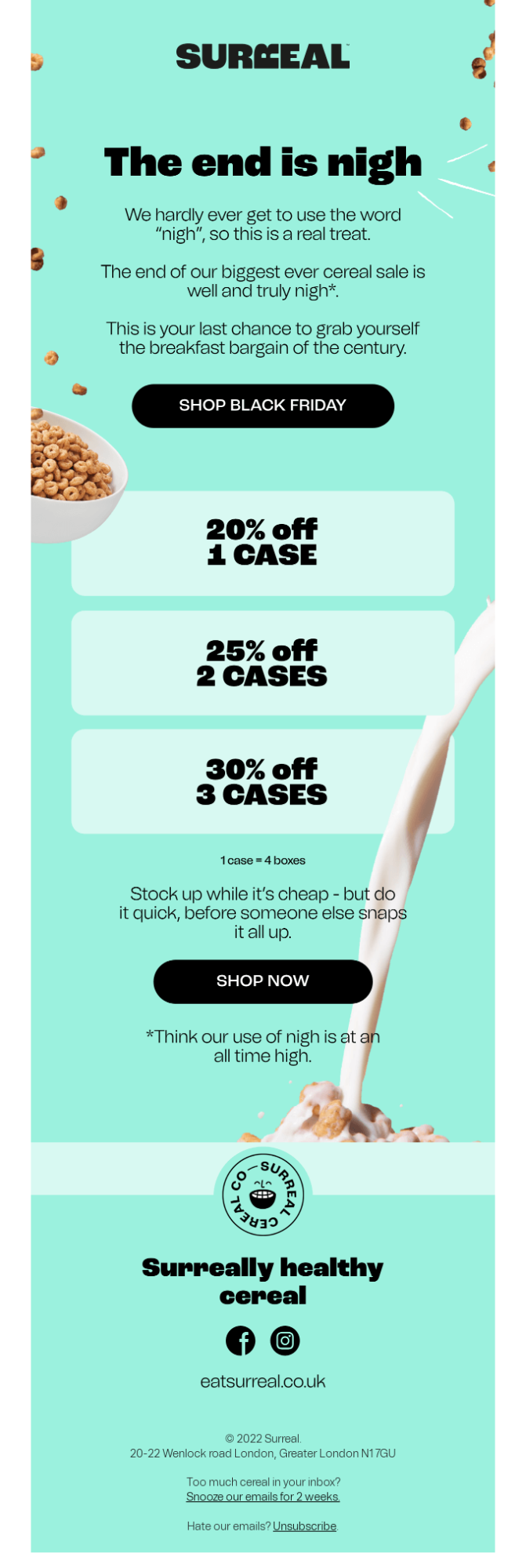 Last Chance Black Friday Email Template by Surreal