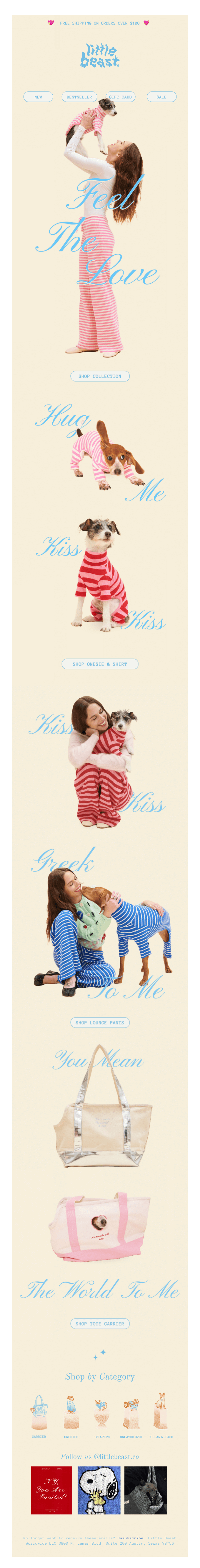 email template by little beast