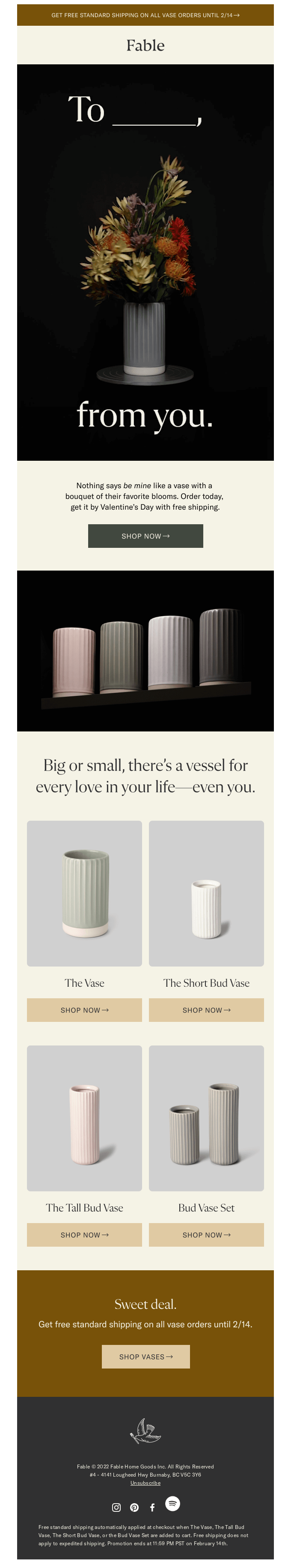 email template by Fable