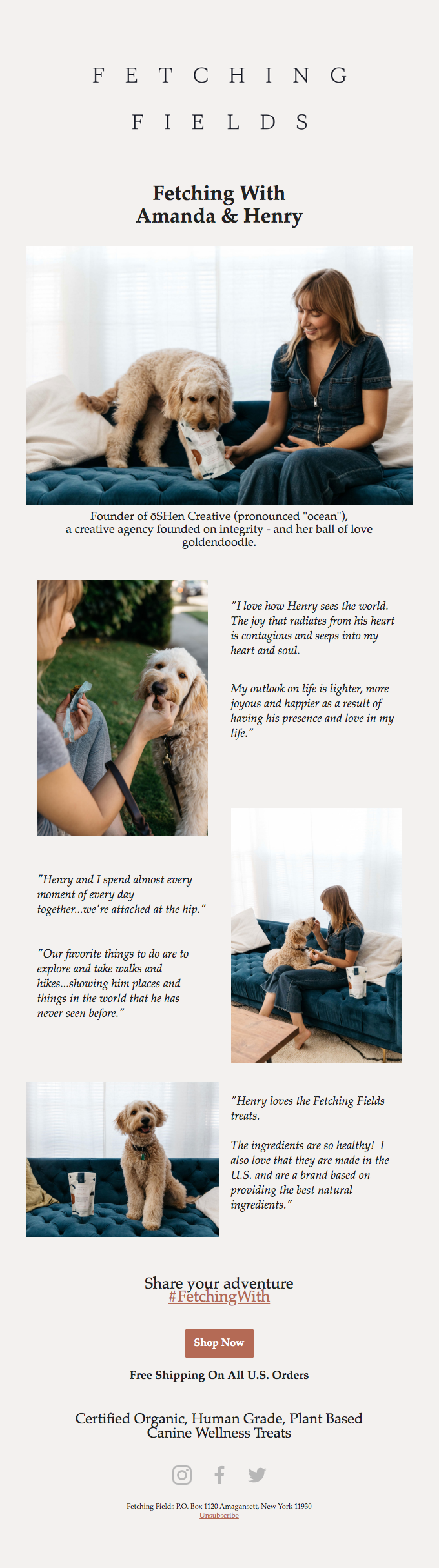 Fetching Fields email